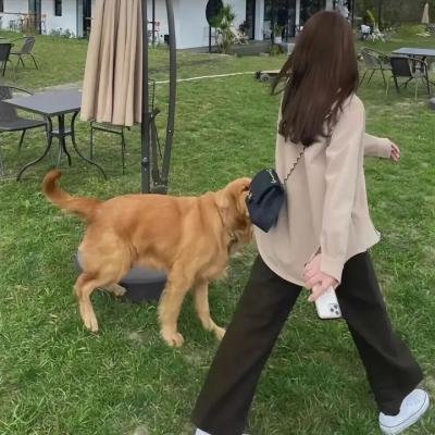 三人新世界粤语
